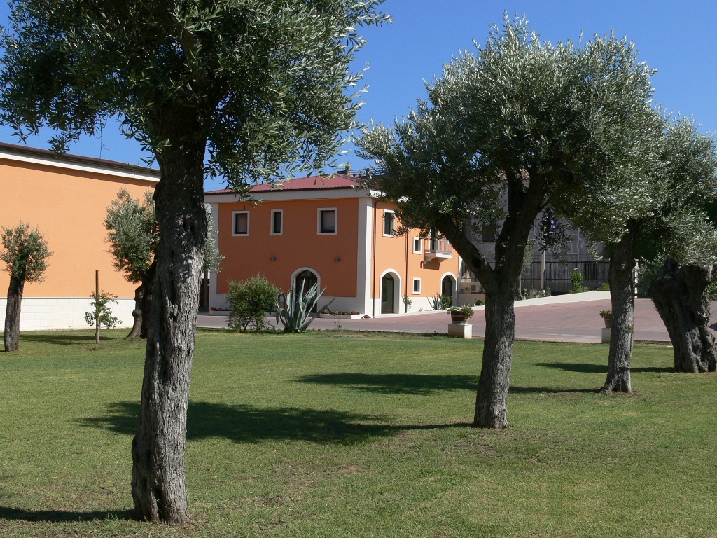 Ciro Bianco 2019 DOC Cantine Vincenzo Ippolito Kalabrien Italien – Bild 3