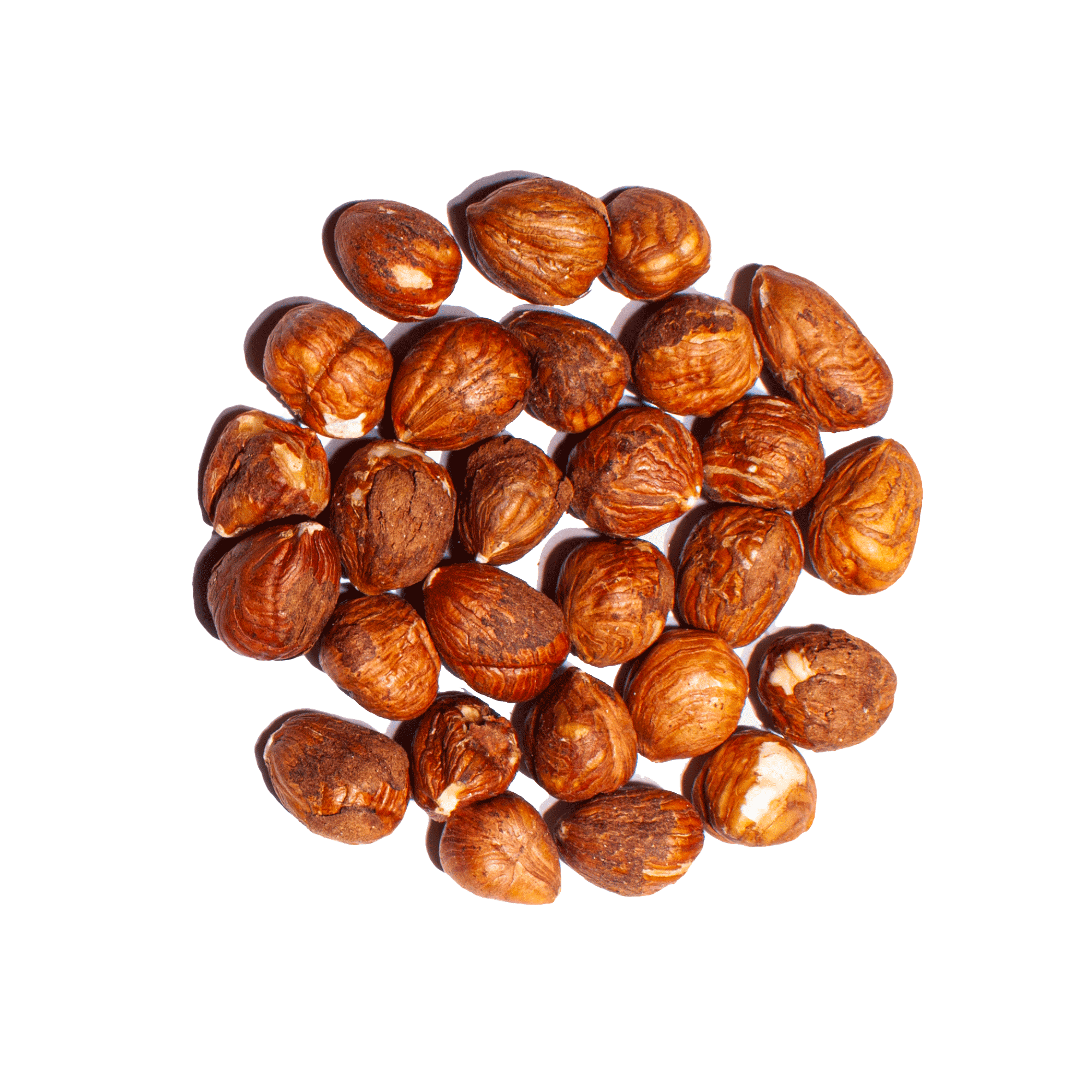 Haselnusskerne 11-13 mm BIO