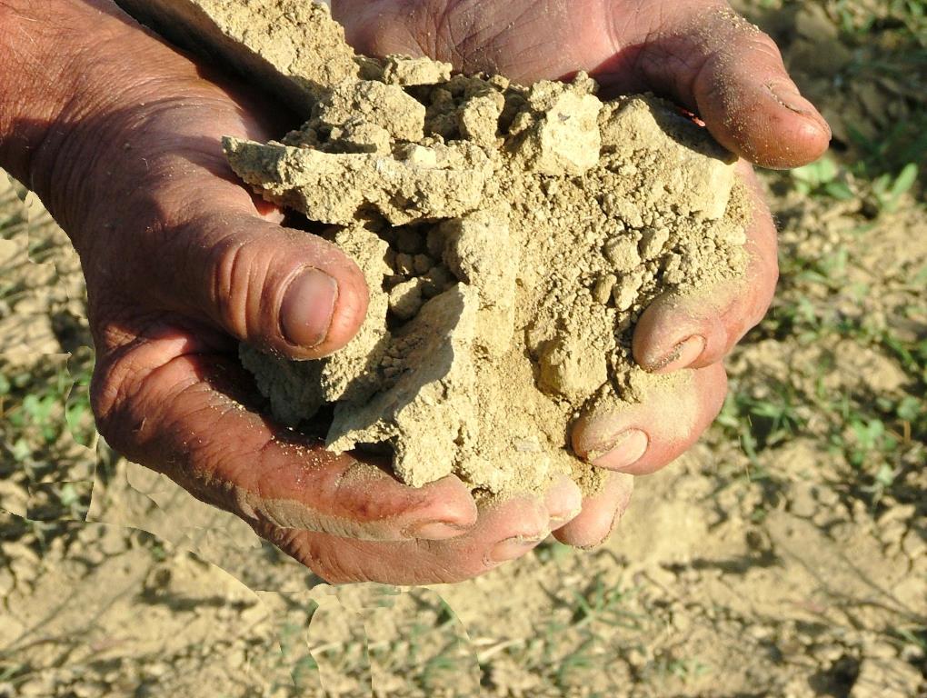 Ciro Bianco 2019 DOC Cantine Vincenzo Ippolito Kalabrien Italien – Bild 5