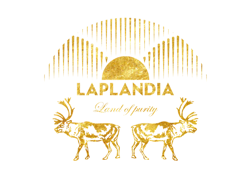 Laplandia Bilberry Vodka 40% Vol – Bild 4