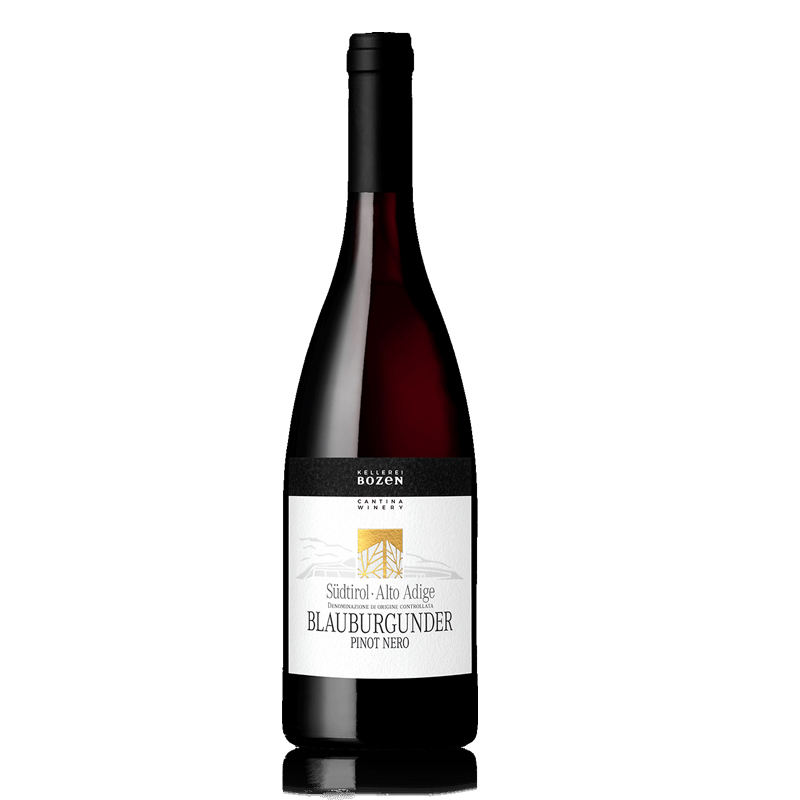 Blauburgunder Kellerei Bozen – eleganter Pinot Noir aus Südtirol – Bild 2