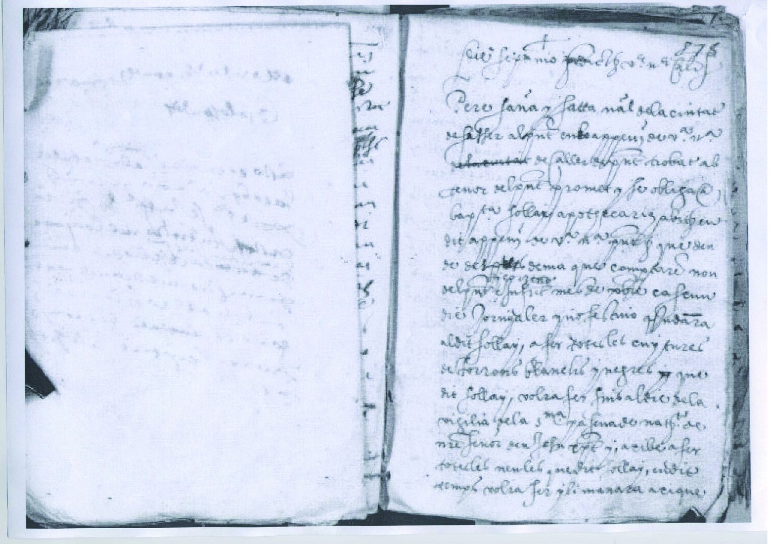 Torrone mit Haselnüssen aus Sardinien – Bild 3