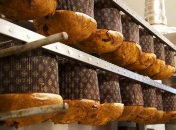 Panettone mit Feige und Schokolade – Gefängnisbäckerei – Bild 5