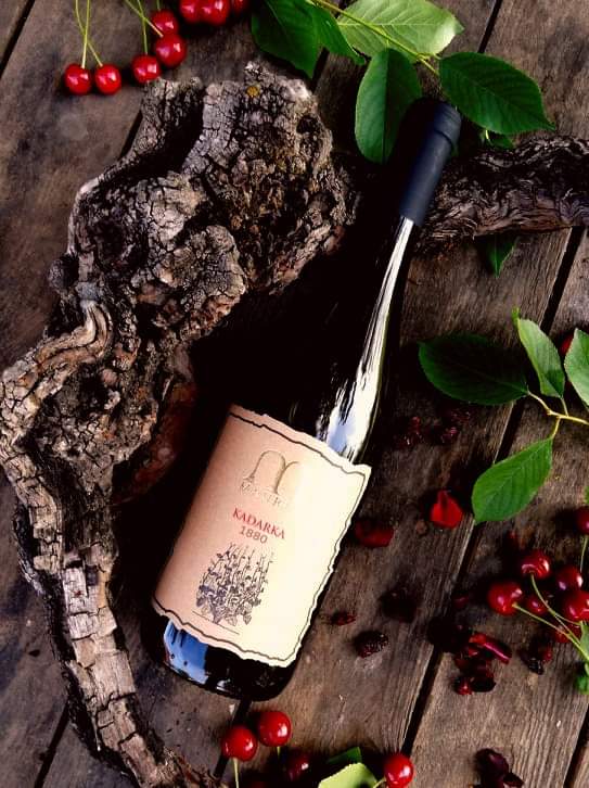 KADARKA “1880” – Bild 4