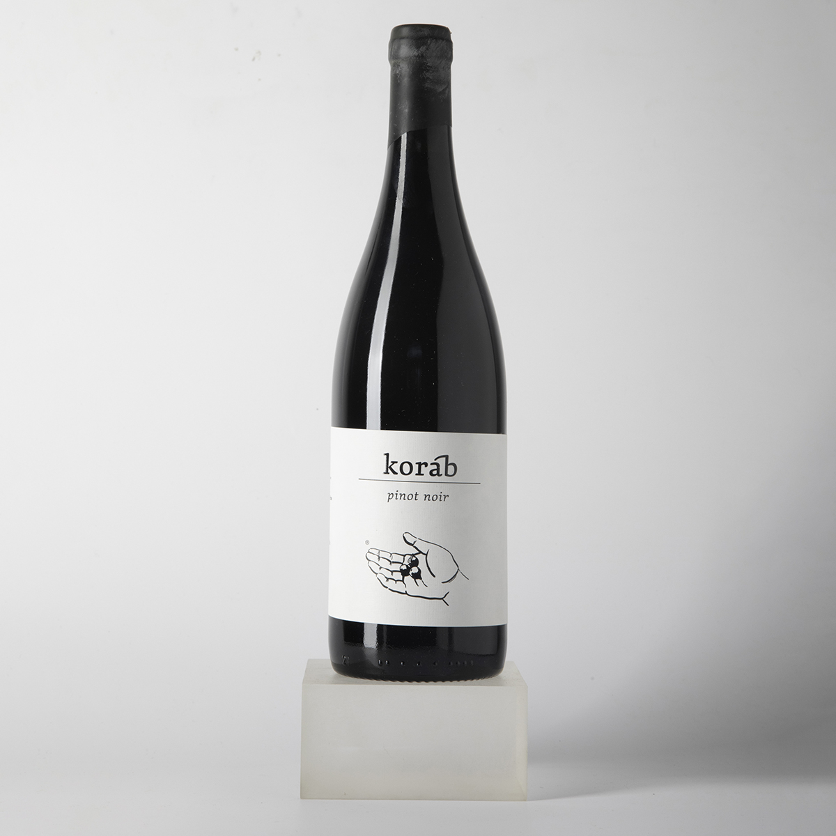 Pinot Noir aus Mähren – Bild 2