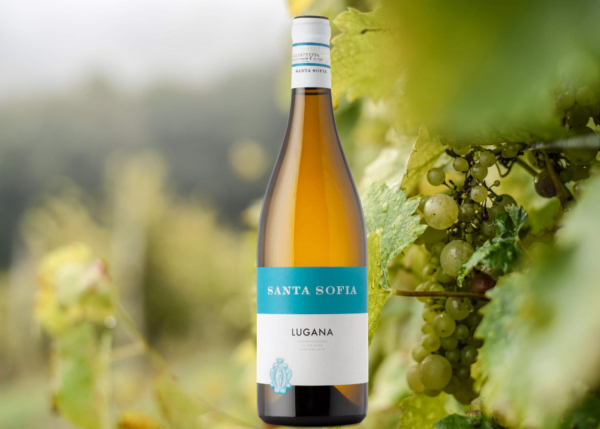 Lugana Santa Sofia 0,75 l – Bild 3